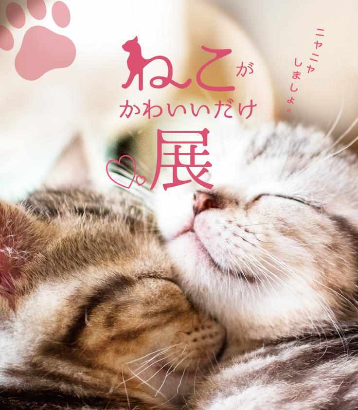 nekogakawaiidake.jpg